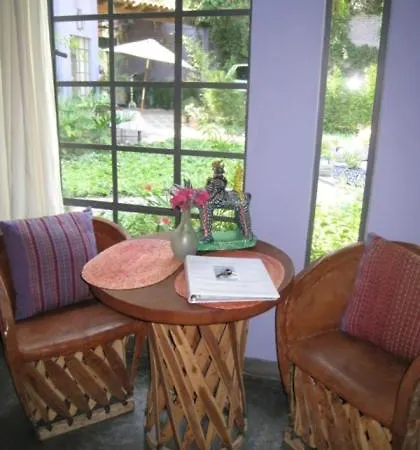 Casa Carly Hotel San Miguel de Allende Exterior photo