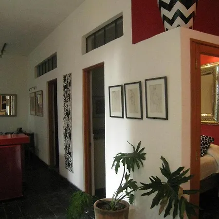 Casa Carly Hotel San Miguel de Allende Exterior photo