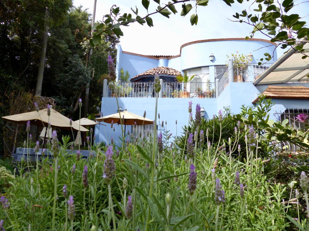 Casa Carly 3*