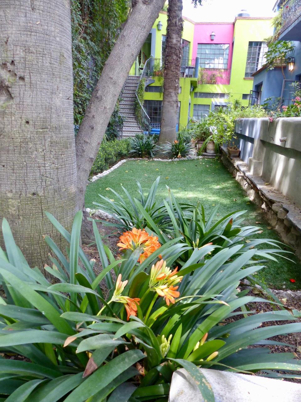 Casa Carly 3* San Miguel de Allende